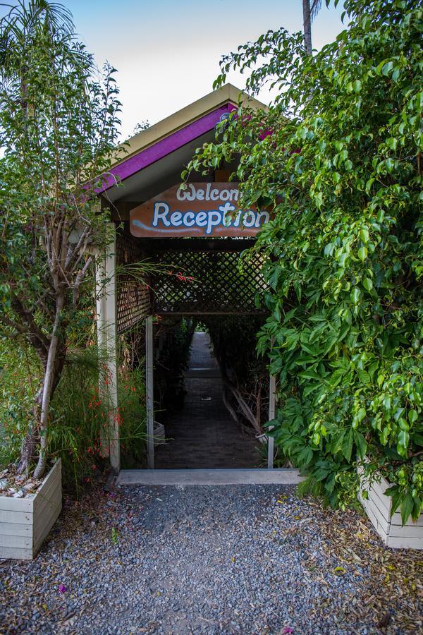 Backpackers By The Bay Hostel Airlie Beach Εξωτερικό φωτογραφία